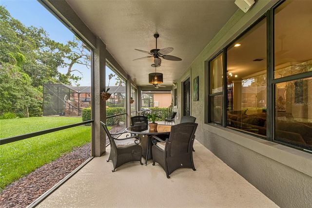 20338 CHESTNUT GROVE DRIVE, Tampa, FL 33647