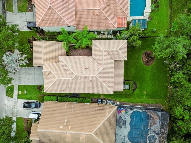 20338 CHESTNUT GROVE DRIVE, Tampa, FL 33647
