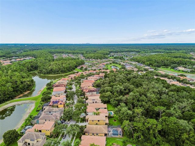 20338 CHESTNUT GROVE DRIVE, Tampa, FL 33647