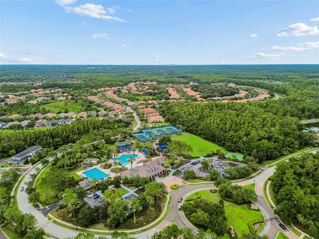 20338 CHESTNUT GROVE DRIVE, Tampa, FL 33647