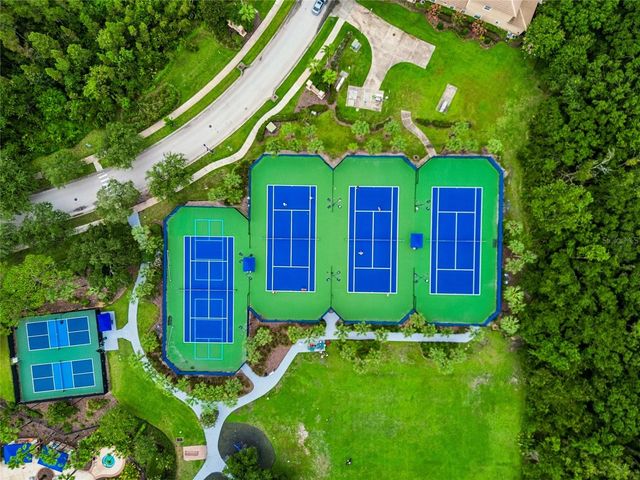 20338 CHESTNUT GROVE DRIVE, Tampa, FL 33647