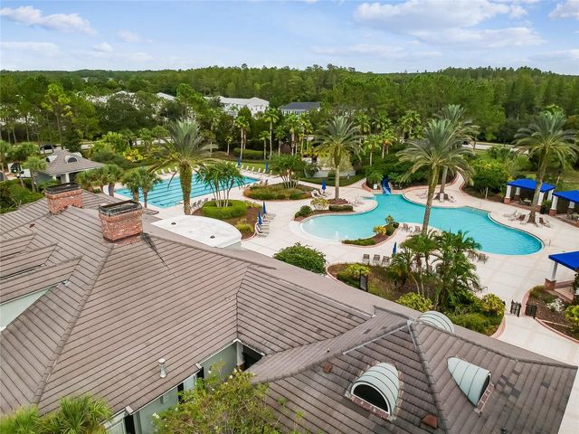 20338 CHESTNUT GROVE DRIVE, Tampa, FL 33647