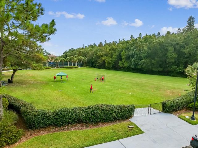 20338 CHESTNUT GROVE DRIVE, Tampa, FL 33647