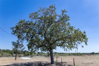 131 Spanish Oak RD, Dale, TX 78616
