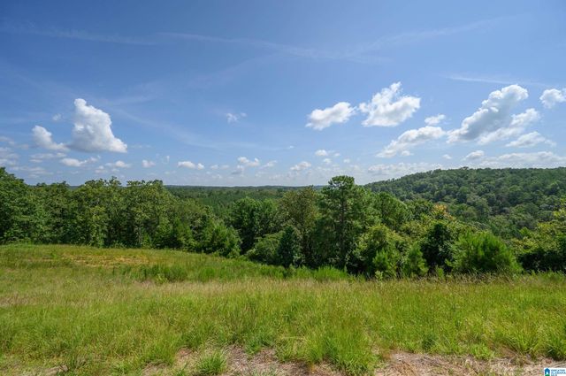5025 CREEK BLUFF, Mccalla, AL 35111