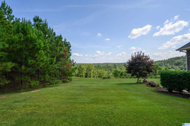 5025 CREEK BLUFF, Mccalla, AL 35111