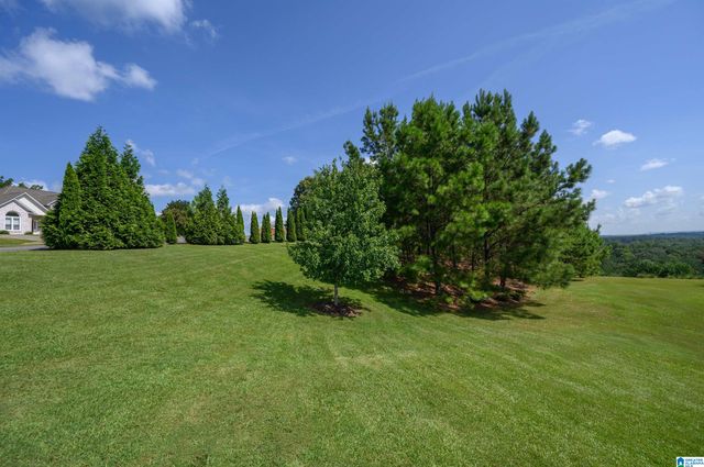 5025 CREEK BLUFF, Mccalla, AL 35111