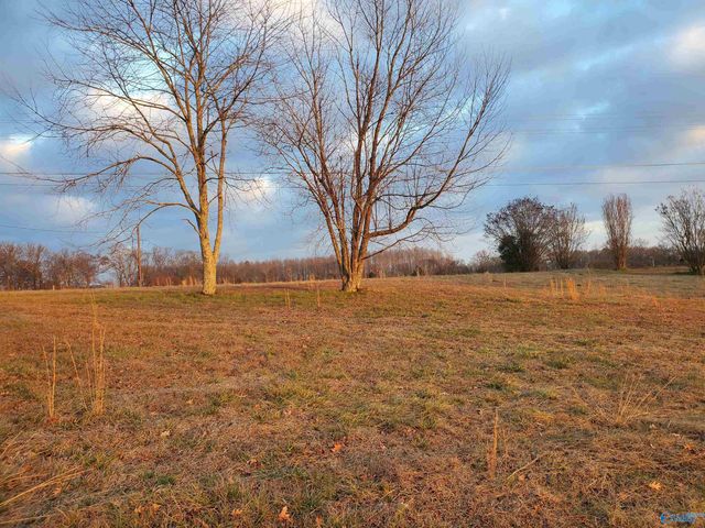 1420 County Road 53, Rogersville, AL 35652