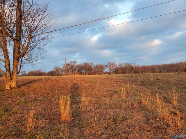 1420 County Road 53, Rogersville, AL 35652