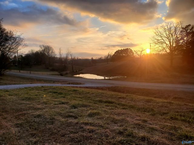 1420 County Road 53, Rogersville, AL 35652