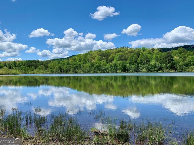 251 Walnut Road 4, Blairsville, GA 30512