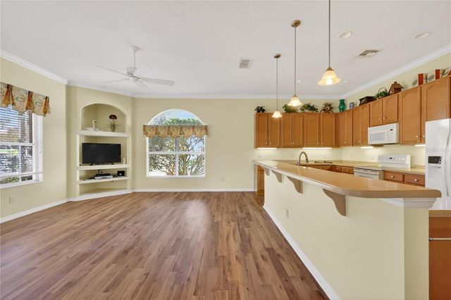 25221 QUAIL CROFT PLACE, Leesburg, FL 34748