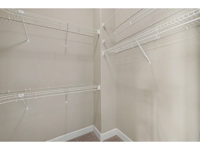 8245 Hidden Cove Ct, Windsor, CO 80528