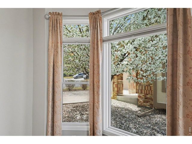 8245 Hidden Cove Ct, Windsor, CO 80528