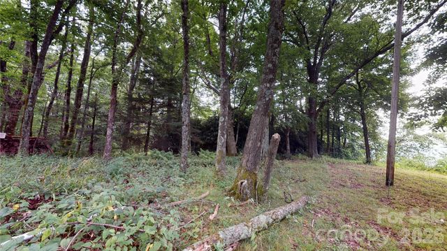200 Osborn Knob Road, Marion, NC 28752