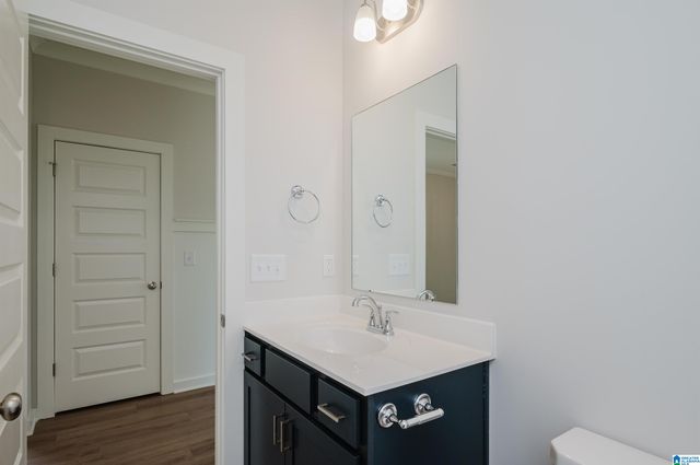 436 WISHFORD CIRCLE, Helena, AL 35080