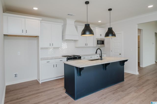 436 WISHFORD CIRCLE, Helena, AL 35080