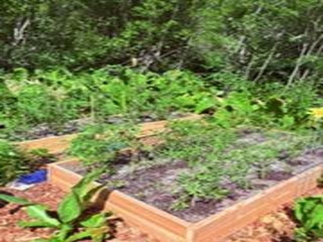 8657 Spring Valley Rd Rd, Newport, WA 99156