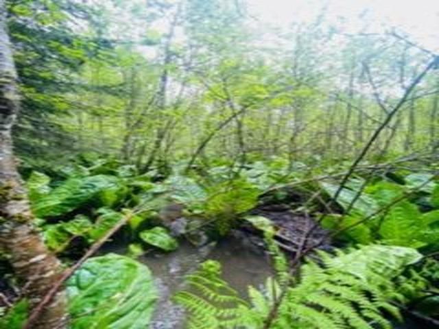 8657 Spring Valley Rd Rd, Newport, WA 99156