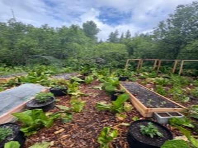 8657 Spring Valley Rd Rd, Newport, WA 99156