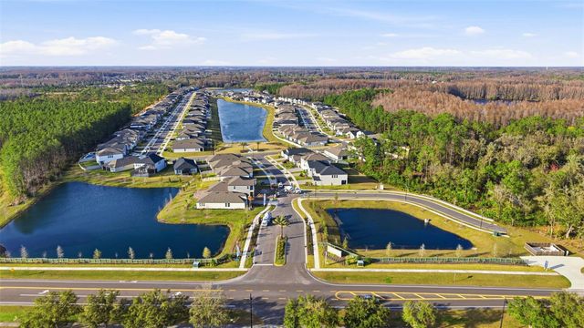 18351 SERENE LAKE LOOP, Lutz, FL 33548