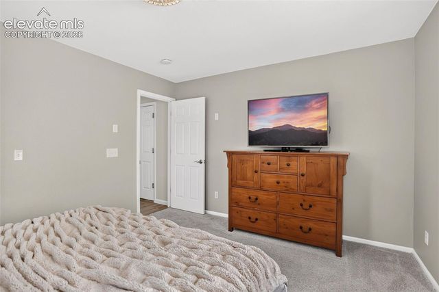 1363 Yellow Granite Way, Monument, CO 80132