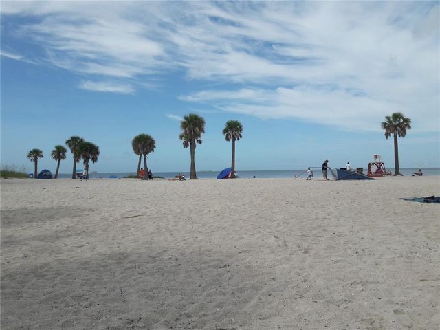 2053 N POINTE ALEXIS DRIVE, Tarpon Springs, FL 34689