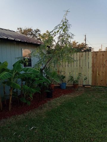 6004 Pine Street, Brazoria, TX 77422
