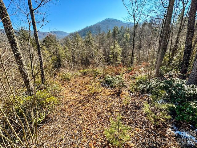 000 Silverglen Way 33, Hendersonville, NC 28792