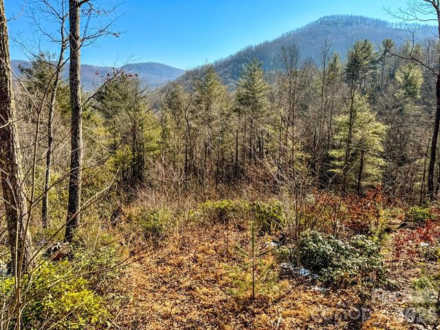 000 Silverglen Way 33, Hendersonville, NC 28792