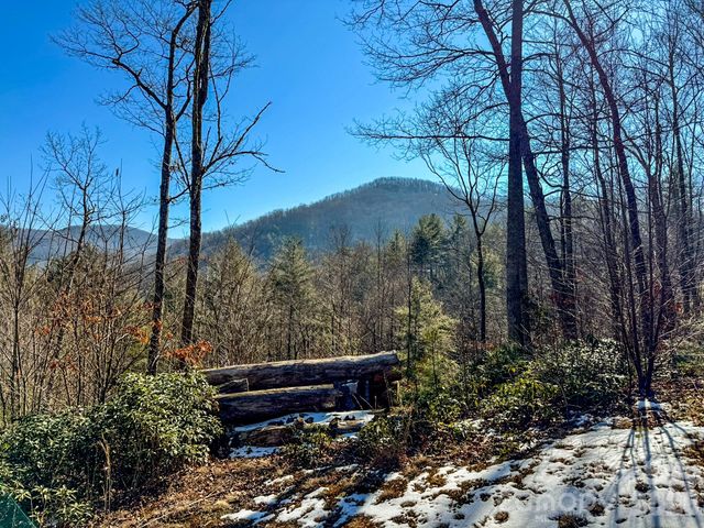 000 Silverglen Way 33, Hendersonville, NC 28792