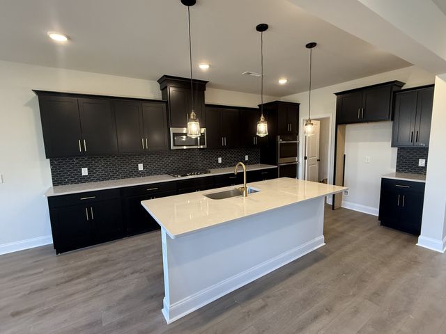 153 Emeline Way, Mount Juliet, TN 37122