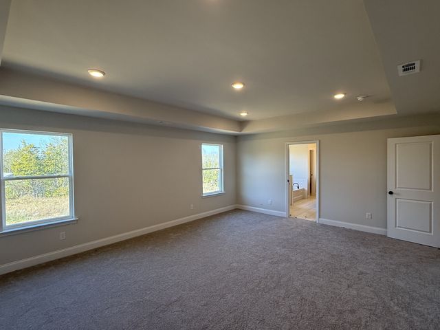 153 Emeline Way, Mount Juliet, TN 37122