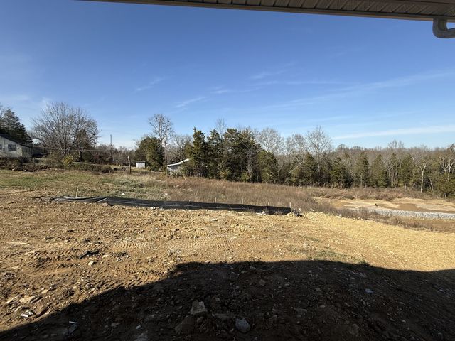 153 Emeline Way, Mount Juliet, TN 37122