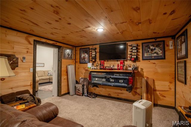 614 Water Tower Road, Van Buren, MO 63965