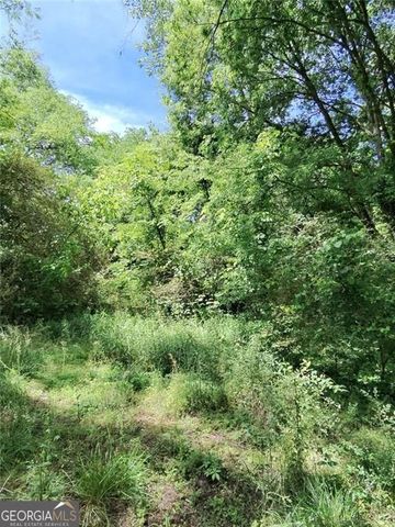 479 Sandtown Road SE LOT 1, Cartersville, GA 30121