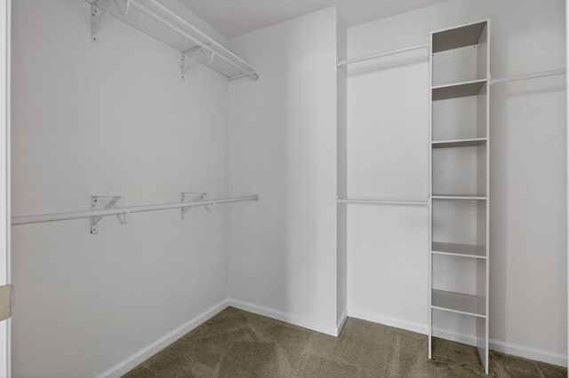 1413 Dabbling Duck Drive, Summerville, SC 29483