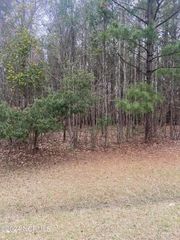 Lot 88 Johnson Drive, Hertford, NC 27944
