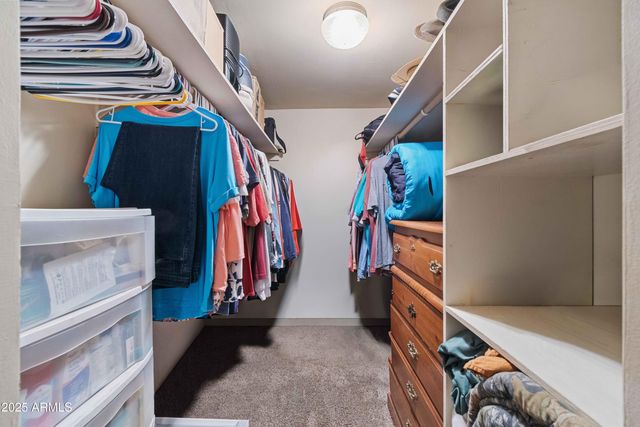 2027 WILDERNESS Drive, Overgaard, AZ 85933