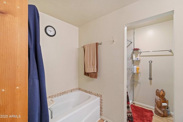 2027 WILDERNESS Drive, Overgaard, AZ 85933