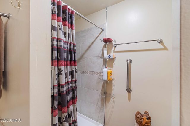 2027 WILDERNESS Drive, Overgaard, AZ 85933