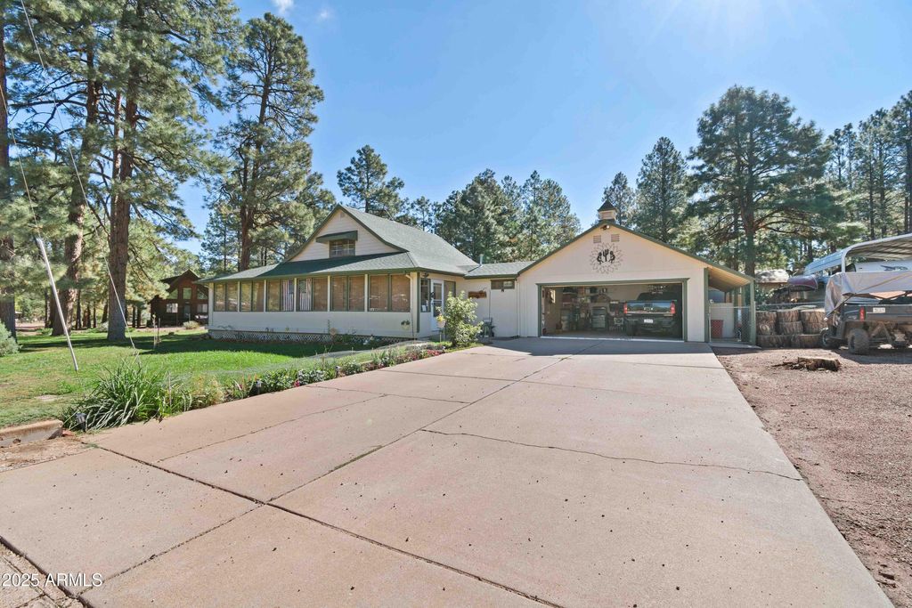 2027 WILDERNESS Drive, Overgaard, AZ 85933