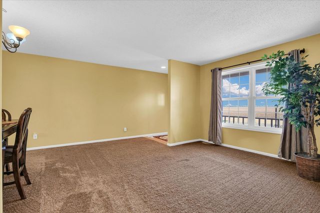 609 Pheasant Run Road, Tuscola, IL 61953