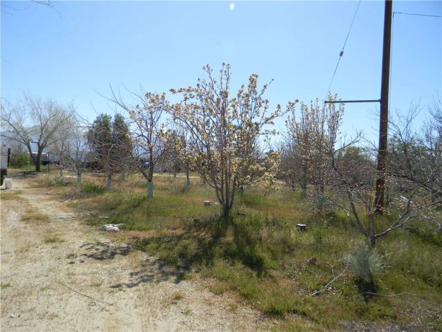 16846 E Avenue T, Llano, CA 93544