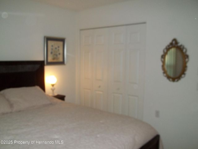 6209 Hardscrabble Court, Spring Hill, FL 34606