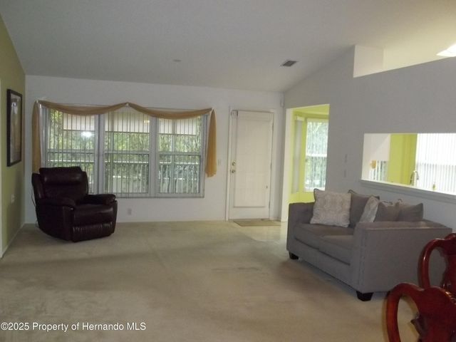 6209 Hardscrabble Court, Spring Hill, FL 34606