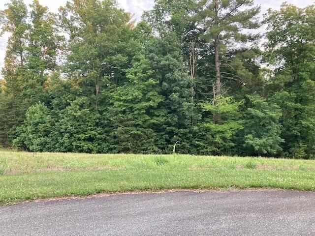 Lot 30 Revolution RD, Wirtz, VA 24184