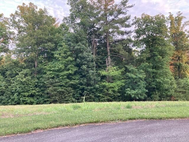 Lot 30 Revolution RD, Wirtz, VA 24184