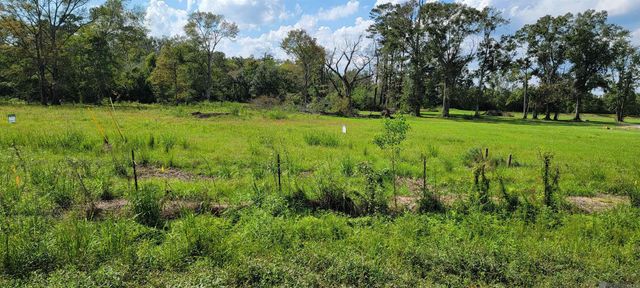 15405 La Hwy 931, Prairieville, LA 70769