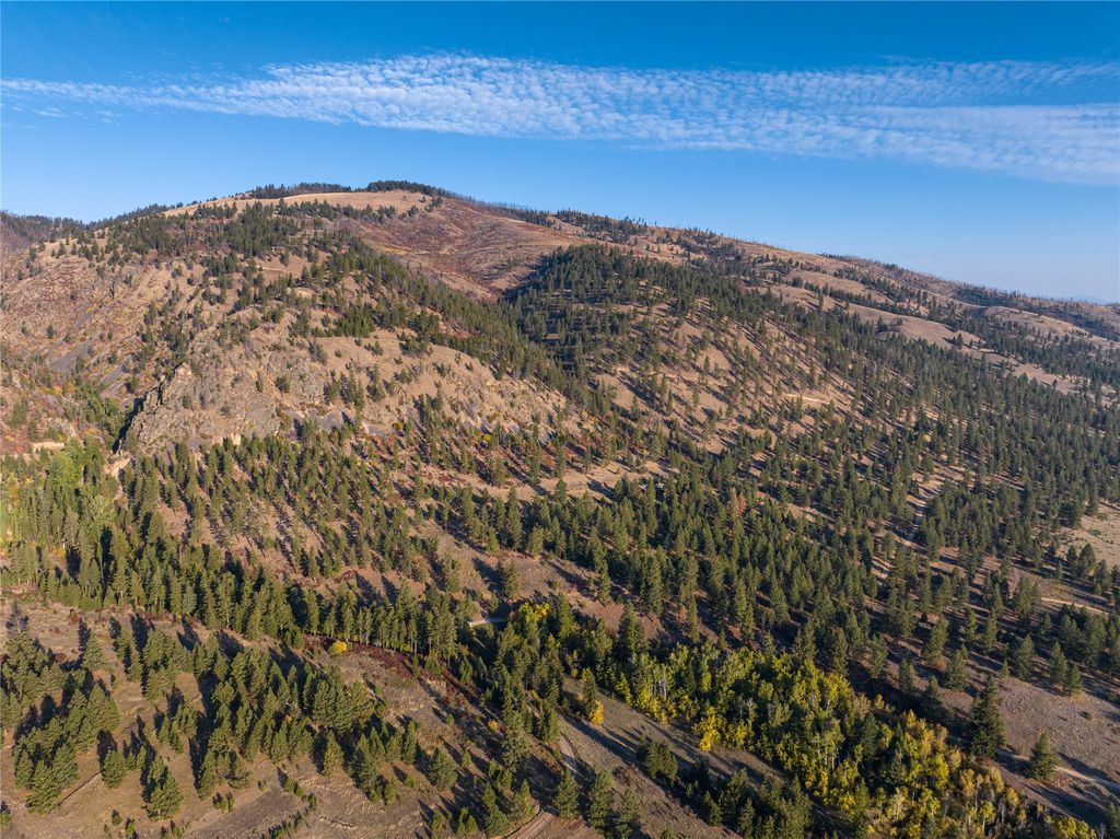 8337 Lamar Trail, Florence, MT 59833 photo 8